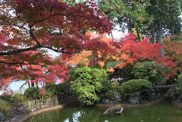 真如堂（真正極楽寺）の写真・動画_image_102832