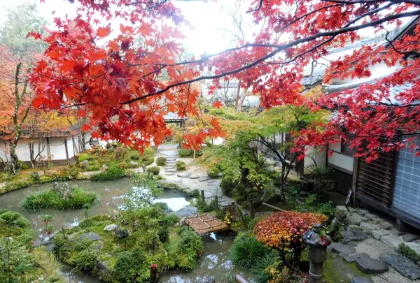 西明寺の写真・動画_image_102852