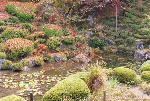 金剛輪寺の写真・動画_image_102856