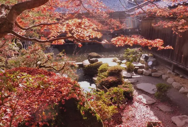 百済寺の写真・動画_image_102860