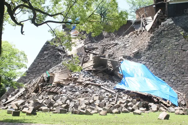 熊本城の写真・動画_image_102861