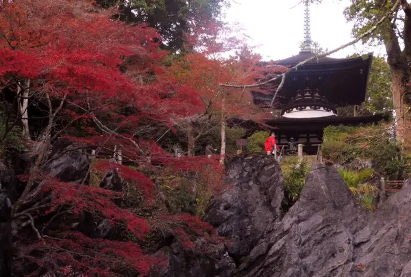 石山寺の写真・動画_image_102895