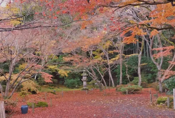 石山寺の写真・動画_image_102896