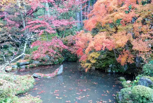 金剛輪寺の写真・動画_image_102912