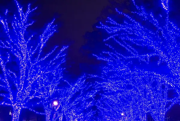 渋谷公園通りの写真・動画_image_102994