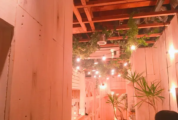 mons cafeの写真・動画_image_103056
