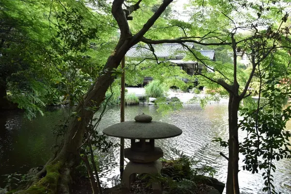 鈴木大拙館の写真・動画_image_103094