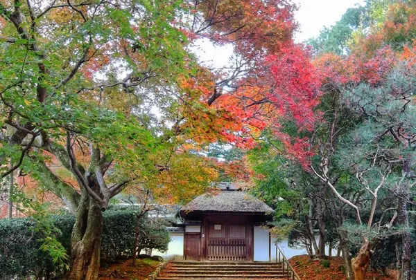 安楽寺の写真・動画_image_103120