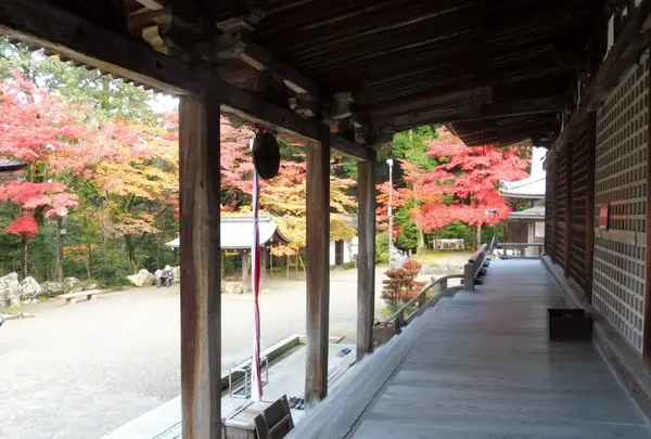 西明寺の写真・動画_image_103122