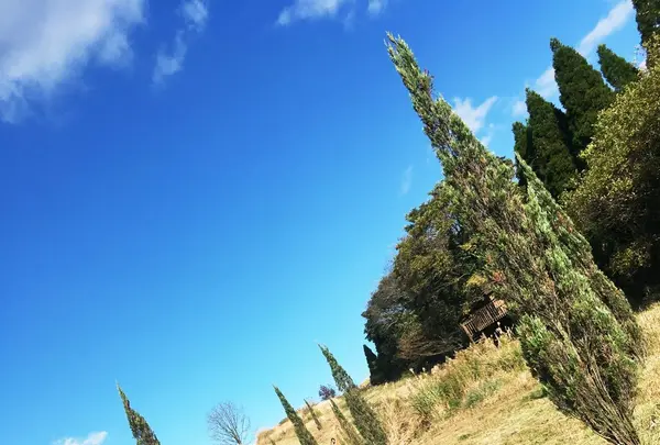 葉祥明阿蘇高原絵本美術館の写真・動画_image_103147