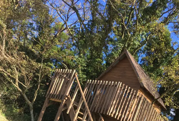 葉祥明阿蘇高原絵本美術館の写真・動画_image_103148