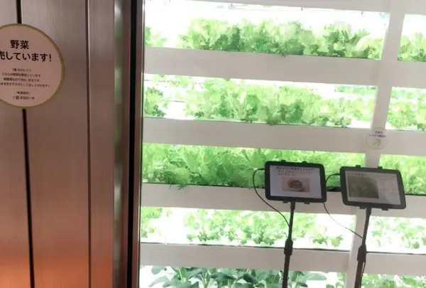 銀座・伊東屋の写真・動画_image_103247