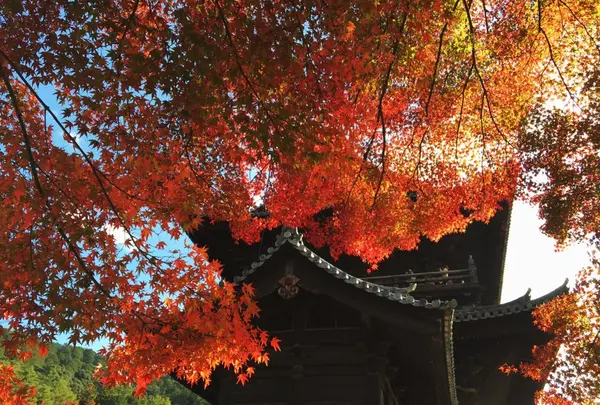 南禅寺の写真・動画_image_103292