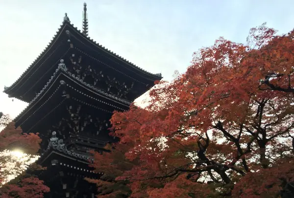 真如堂（真正極楽寺）の写真・動画_image_103299