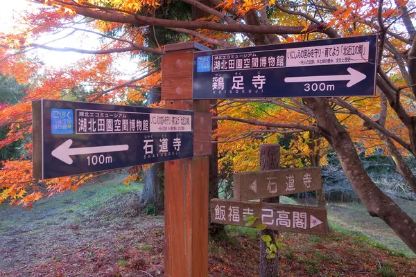 鶏足寺紅葉散策路の写真・動画_image_103312