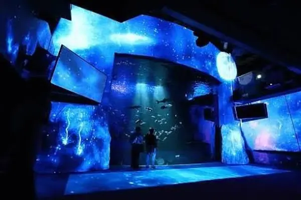 新江ノ島水族館の写真・動画_image_103678