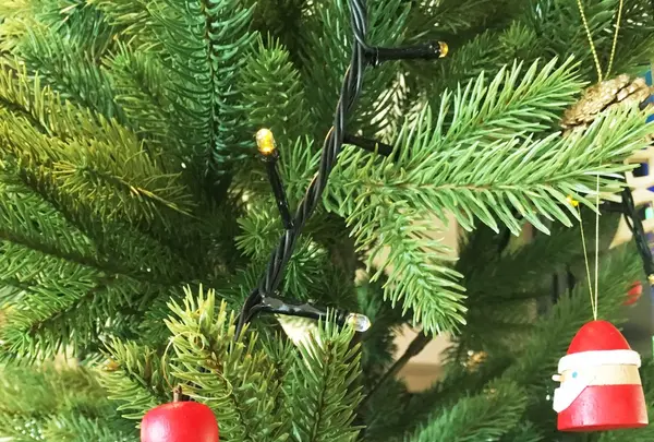 カフェ ティッペル | Seiffener Tippelの写真・動画_image_103797