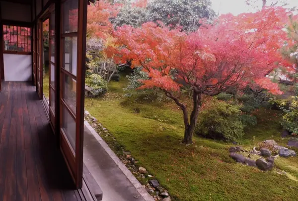 東光寺の写真・動画_image_104006