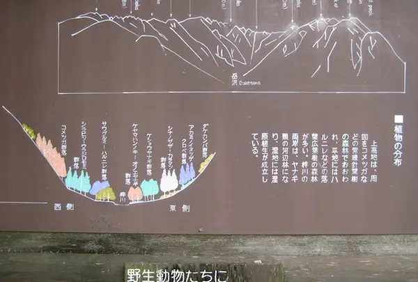 上高地の写真・動画_image_104174