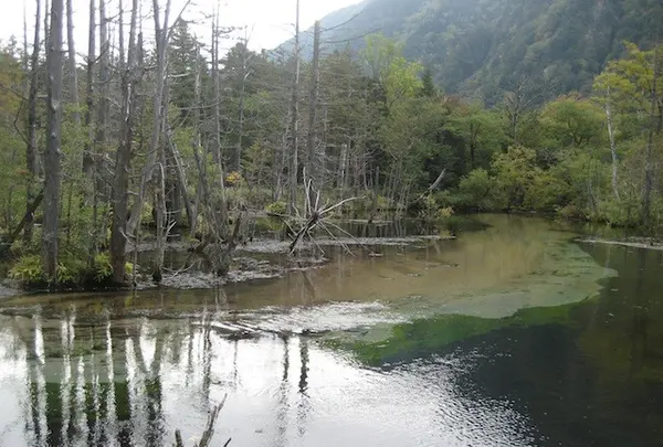 上高地の写真・動画_image_104197