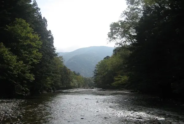 上高地の写真・動画_image_104257