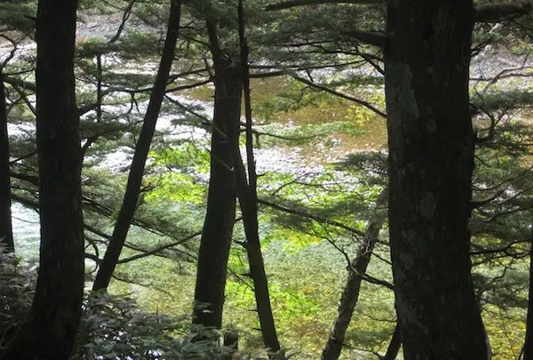 上高地の写真・動画_image_104259