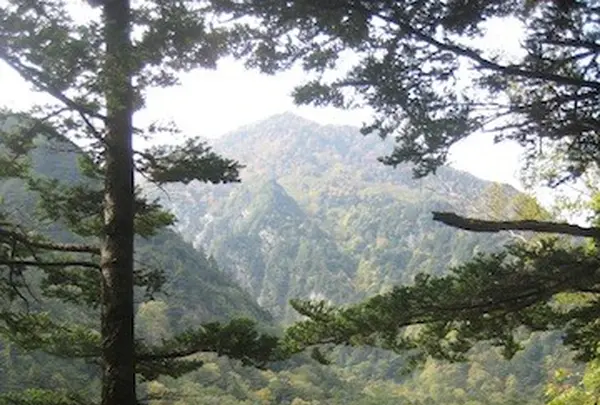 上高地の写真・動画_image_104263