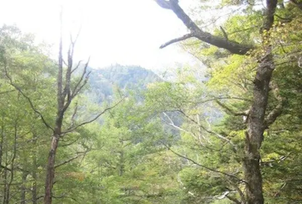 上高地の写真・動画_image_104268