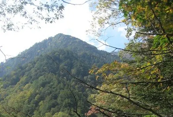 上高地の写真・動画_image_104277