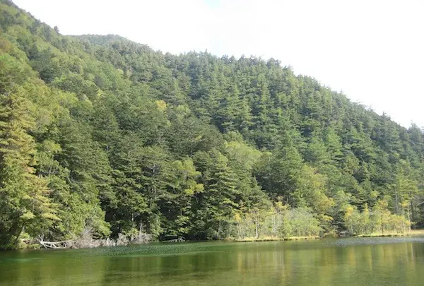 上高地の写真・動画_image_104284