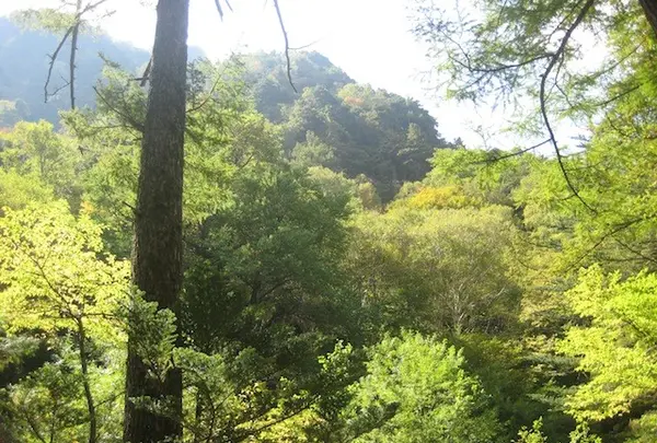 上高地の写真・動画_image_104310