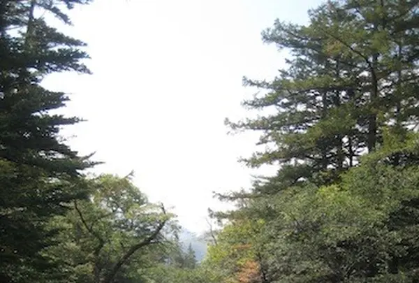 上高地の写真・動画_image_104330