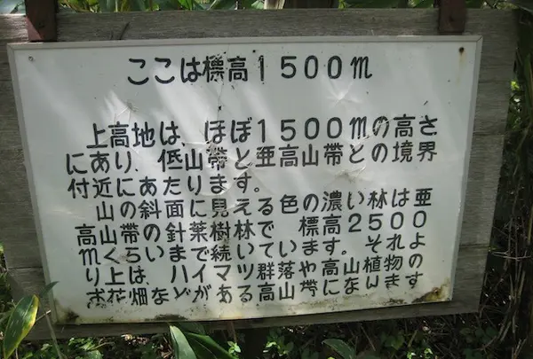 上高地の写真・動画_image_104334