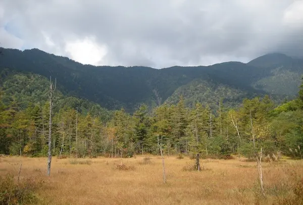 上高地の写真・動画_image_104341