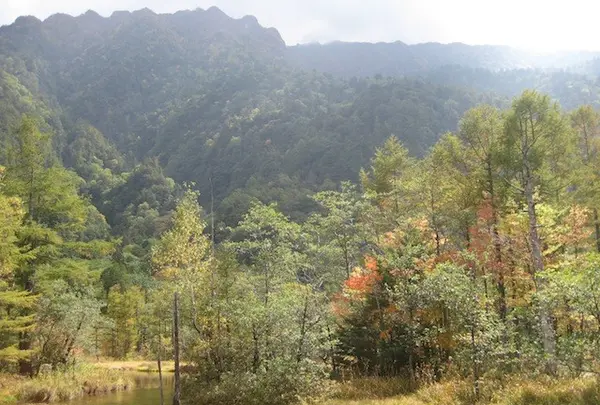 上高地の写真・動画_image_104343