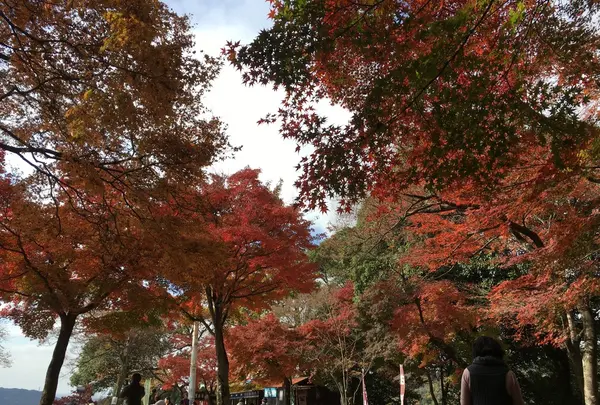定光寺の写真・動画_image_104376