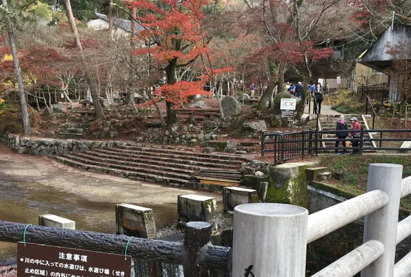 岩屋堂公園の写真・動画_image_104379