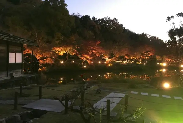 東山動物園の写真・動画_image_104388
