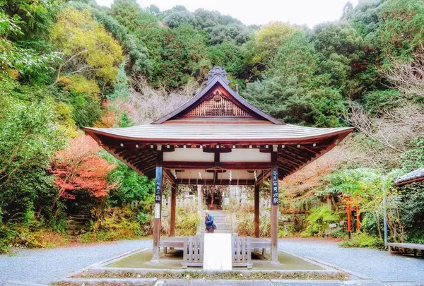 大豊神社の写真・動画_image_104395