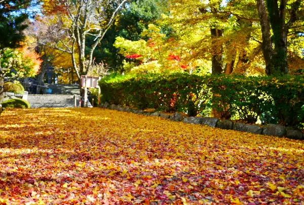 御嶽山 播州清水寺の写真・動画_image_104439