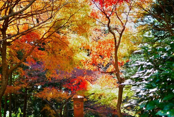 御嶽山 播州清水寺の写真・動画_image_104440