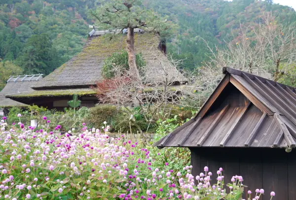 美山町観光協会の写真・動画_image_104460