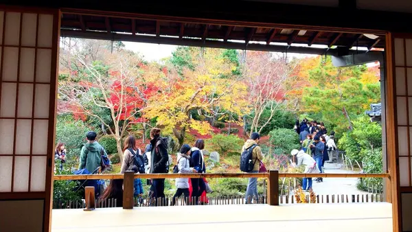天龍寺の写真・動画_image_104470