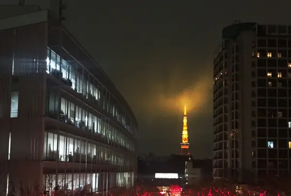 六本木けやき坂通りの写真・動画_image_104506