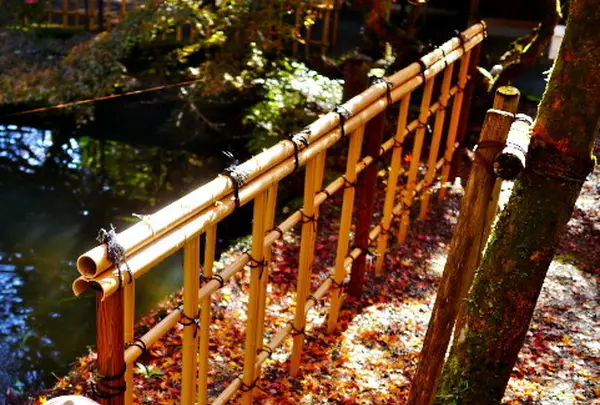 円通寺の写真・動画_image_104514