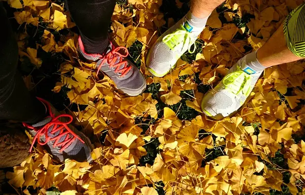 明治神宮外苑いちょう並木の写真・動画_image_104516