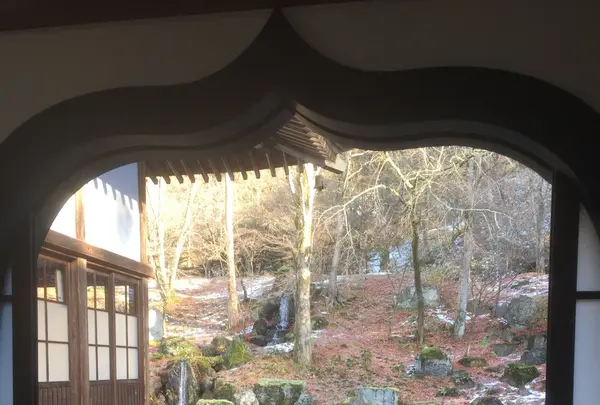 吉祥寺の写真・動画_image_104611