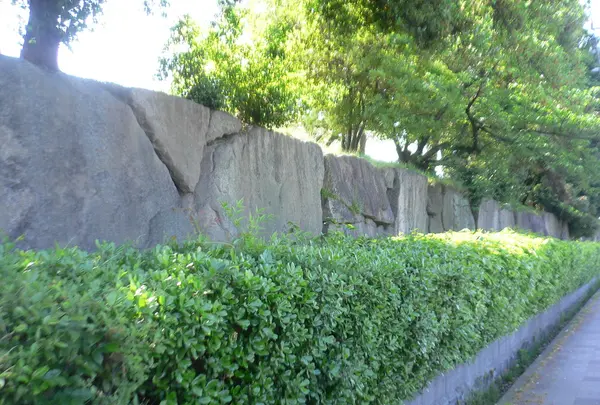 豊国神社の写真・動画_image_104703