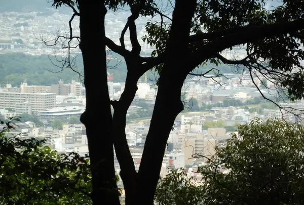 豊国神社の写真・動画_image_104706