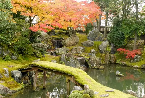 醍醐寺三宝院の写真・動画_image_104717